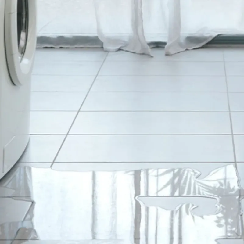 Appliance Leak Cleanup in Grandview, WA