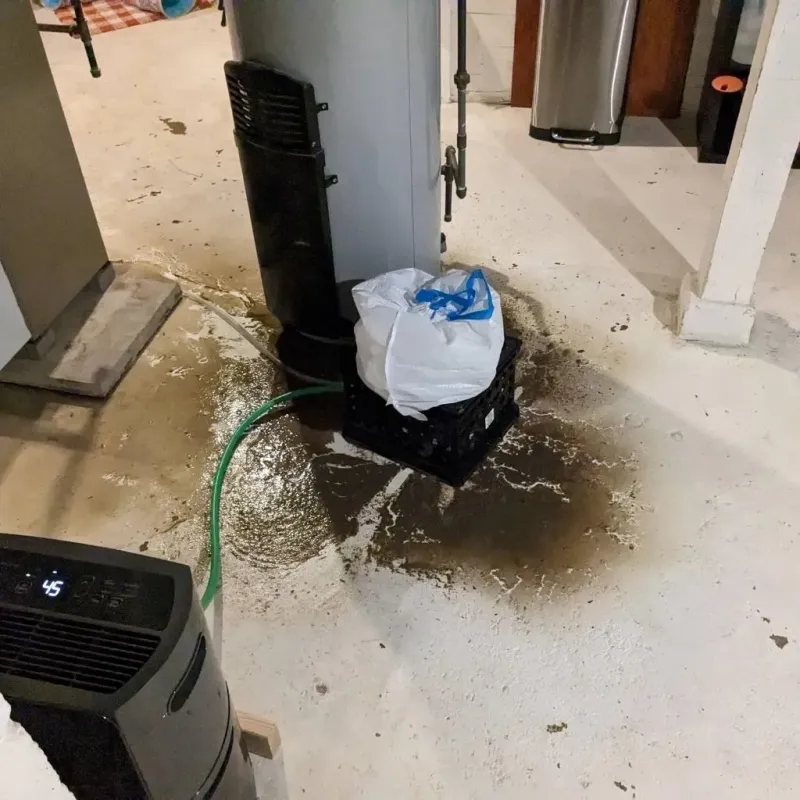 Sewage Backup Cleanup Service in Grandview, WA